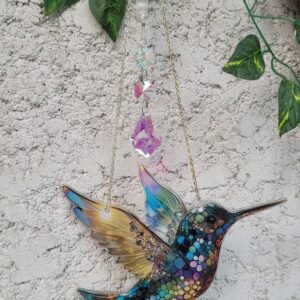 Attrape soleil Colibri