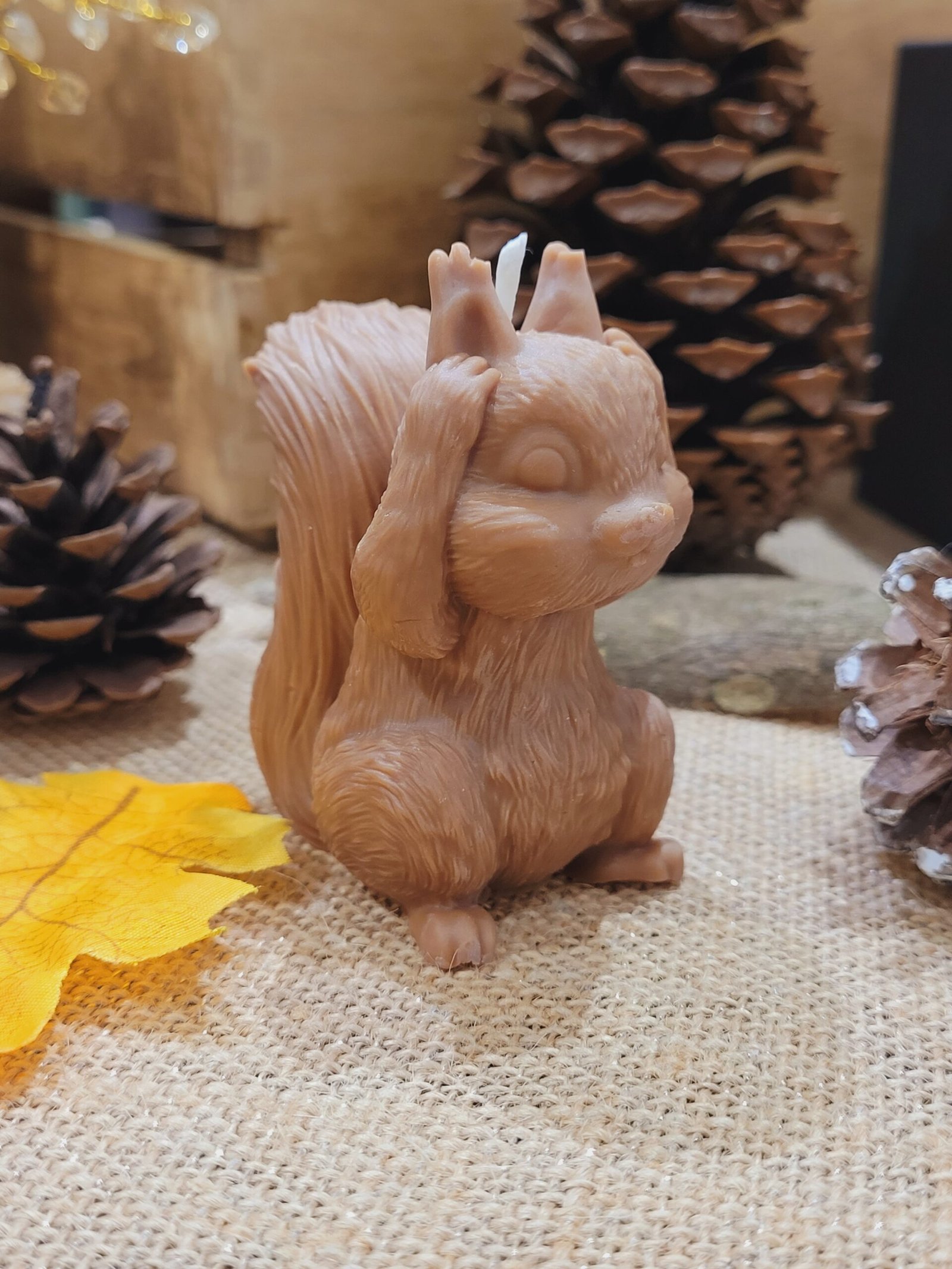 Bougie Ecureuil – Image 2