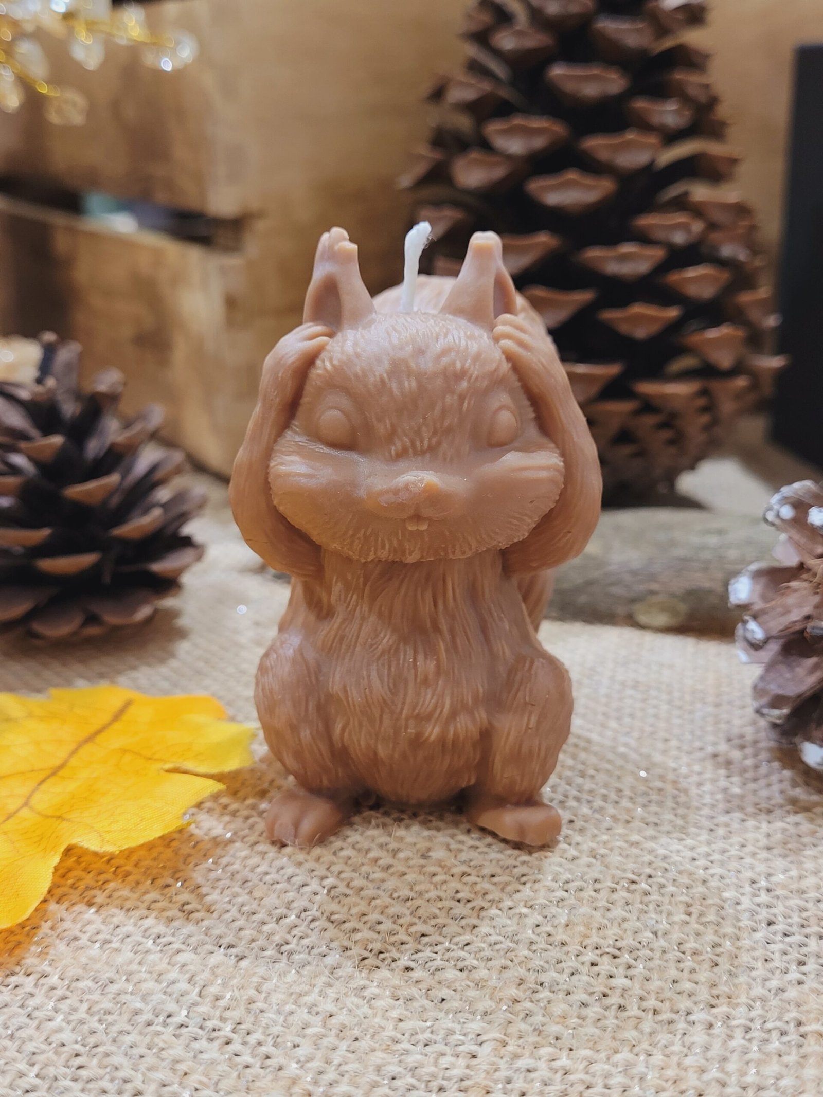 Bougie Ecureuil – Image 3