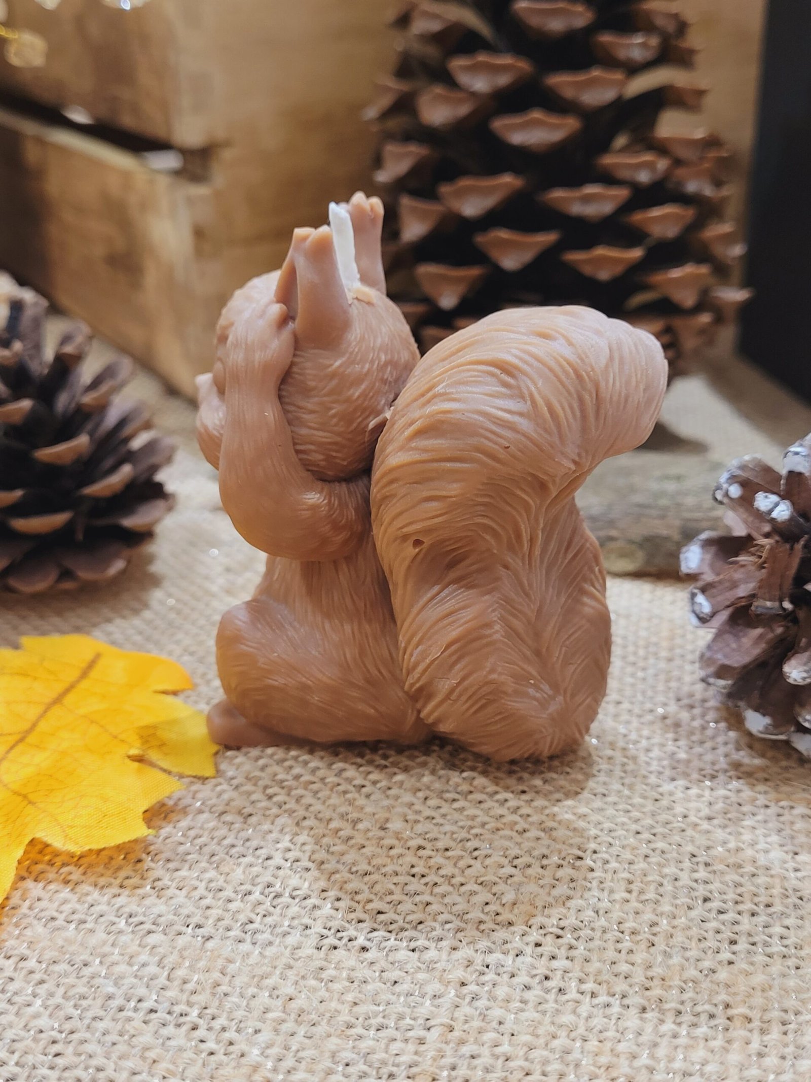 Bougie Ecureuil – Image 4