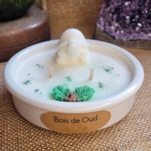 Bougie Tortue parfum Bois de Oud