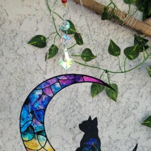 Attrape soleil Chat