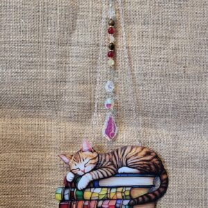 Attrape soleil Chat sur Livres